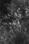 Thumbnail of Skeleton Woman — Sasha Hitchcock