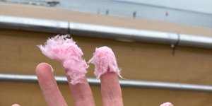 Thumbnail of Fingerprints: A Diary