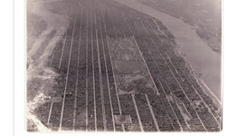 Thumbnail of The government shouldn’t tell people where to live