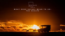 Thumbnail of What Does Safari Mean To Us: The Escape
