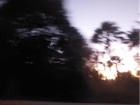 Thumbnail of Note by Abigail Gabriel on Substack