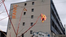 Thumbnail of Should assisted death be available for intractable mental illness? | Psyche Ideas
