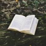 Thumbnail of Immersive Reading