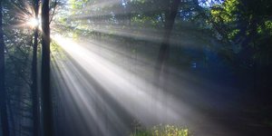 Thumbnail of What Amazes Me About Prophet Muhammad