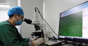 Thumbnail of Health Rounds: Increasing sperm mutations in older fathers may affect offspring