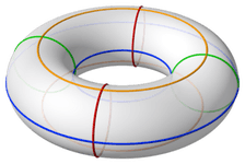 Thumbnail of Torus