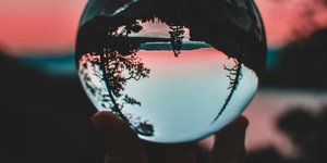 Thumbnail of Seeing only what we know