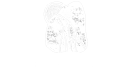 Thumbnail of ROOTED HEALING