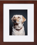 Thumbnail of Classic Wall Brown Picture Frame | Print and Frame Photos Online