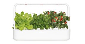 Thumbnail of Indoor Herb Gardens and Indoor Gardening Kits | Click & Grow