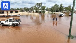 Thumbnail of Outback 'boneyards' emerging, more rain to come for flooded Queenslanders