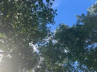 Thumbnail of Five wholesome, algorithm-free tips for cultivating a rich(er) social life