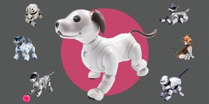 Thumbnail of Zen and the Art of Aibo Engineering