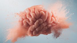 Thumbnail of Our obsession with efficiency is killing creativity