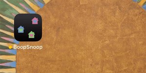 Thumbnail of An app can be a home-cooked meal