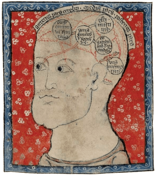 Preview of png-1182x1320