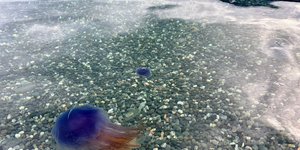 Thumbnail of Capturing Textures