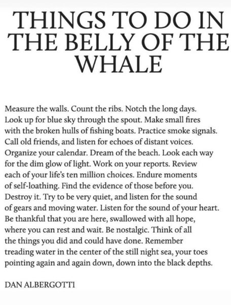 Preview of pin-2040762327790734