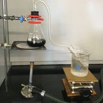 Thumbnail of Fractional Distillation of a Carbonated Soft Drink | Carolina ...