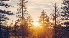 Thumbnail of The Premier McCall Idaho Lodging Destination - Shore Lodge