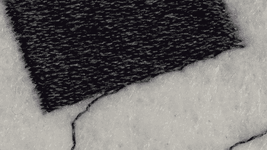 Thumbnail of Bizarre Fabrications Series