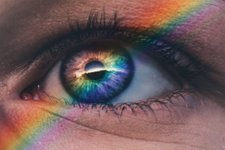 Thumbnail of We are Nature - an open letter to the publishers of UK dictionaries