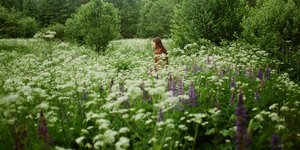 Thumbnail of From Garden to Wild Herbal Meadow