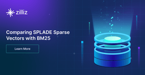 Thumbnail of Comparing SPLADE Sparse Vectors with BM25 - Zilliz Learn