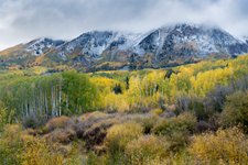 Thumbnail of Get Control of Your Photo Library in 2025