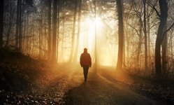 Thumbnail of "The World Reveals Itself to Those Who Walk"