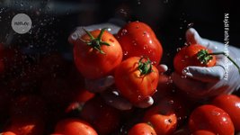 Thumbnail of CRISPR builds a big tomato that’s actually sweet