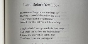 Thumbnail of Look Before You Leap