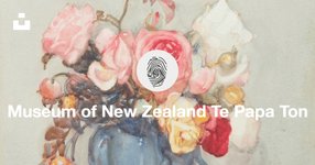 Thumbnail of Museum of New Zealand Te Papa Tongarewa (@tepapa) | Unsplash Photo Community