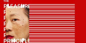 Thumbnail of Disability, pleasure and ageing: The pleasure principle