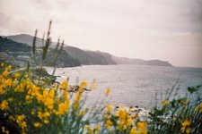 Thumbnail of Cynefin: Finding the Place That Belongs to You