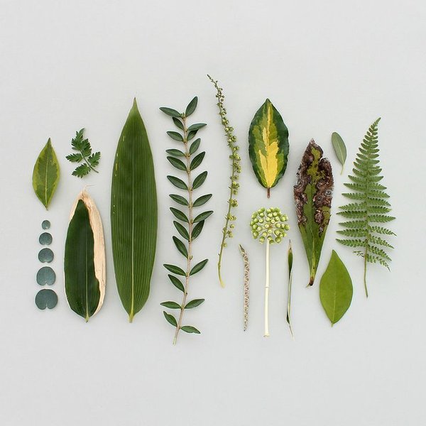 Thumbnail of Image