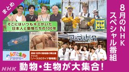 Thumbnail of へんてこ生物、アニマルドック、サカナ★スター…スペシャル番組に動物・生物が大集合！ - NHK