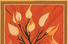 Thumbnail of Heat is a Disability Issue