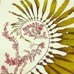 Thumbnail of Gaëlle Divine