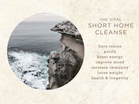 Thumbnail of Ayurveda Rejuvenation: The Vital Short Home Cleanse | Vital Veda