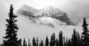 Thumbnail of Our Brand Partners