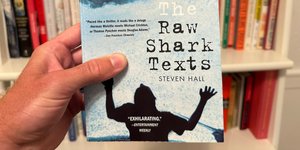 Thumbnail of The Raw Shark Texts