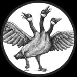 Thumbnail of Tim Andraka