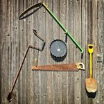 Thumbnail of Zone 8 - Monthly Garden Calendar: Chores and Planting Guide