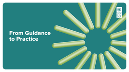 Thumbnail of From Guidance to Practice: Reflections on the Evolving Systems MEL Journey