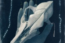 Thumbnail of On Death and Love – Melanie Challenger