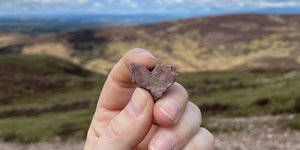 Thumbnail of What if there's nothing wrong with you?