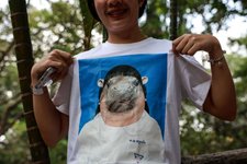 Thumbnail of Moo Deng and the bizarre world of viral animal tourism