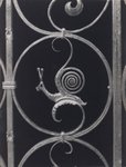 Thumbnail of Found on Cosmos