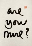 Thumbnail of Are You Sure ? – Parallax Press